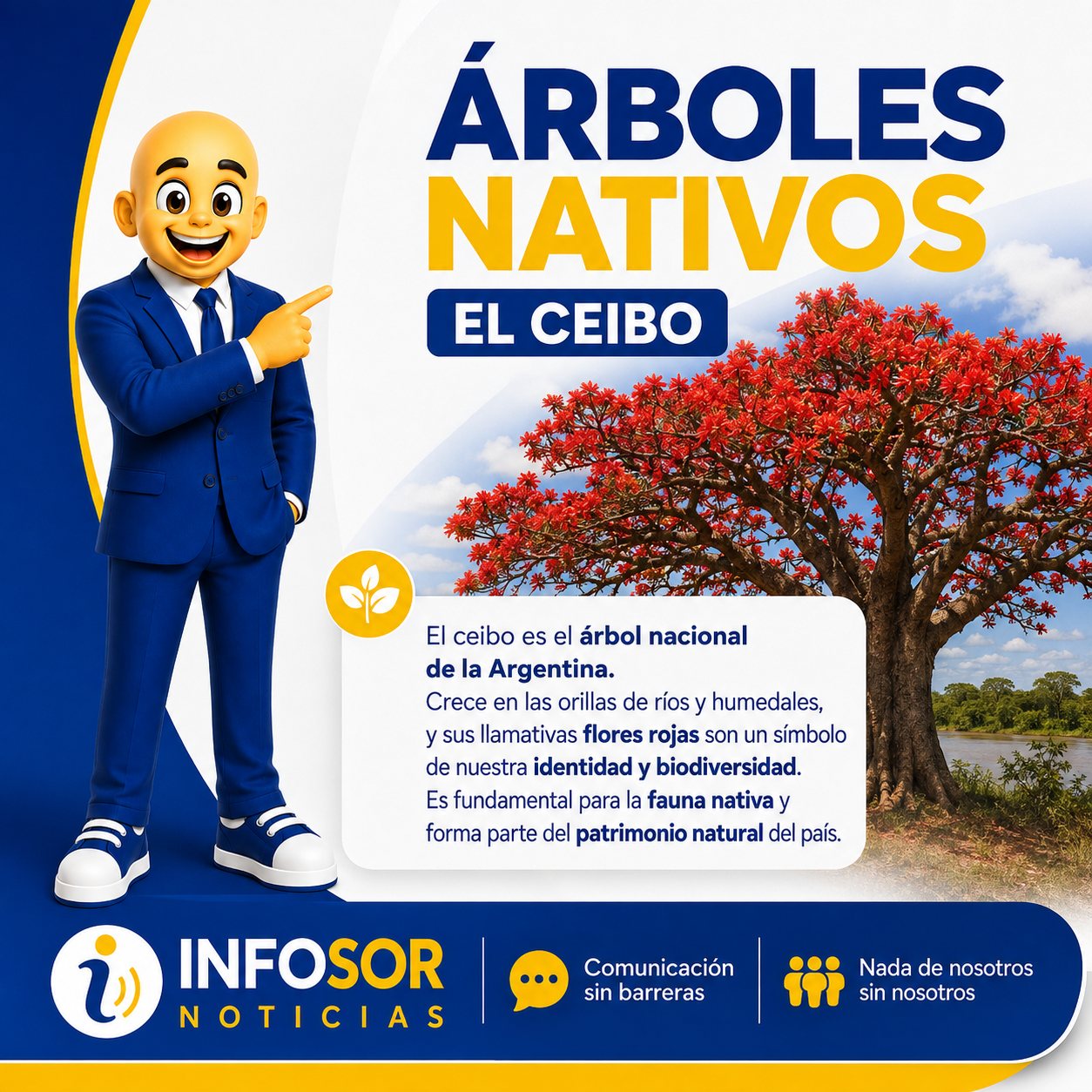 El ceibo: el árbol nacional que representa la identidad y la biodiversidad argentina