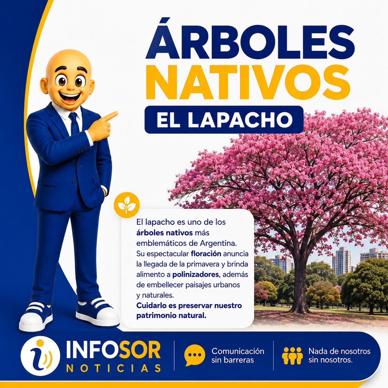 El lapacho: uno de los árboles más emblemáticos de Argentina