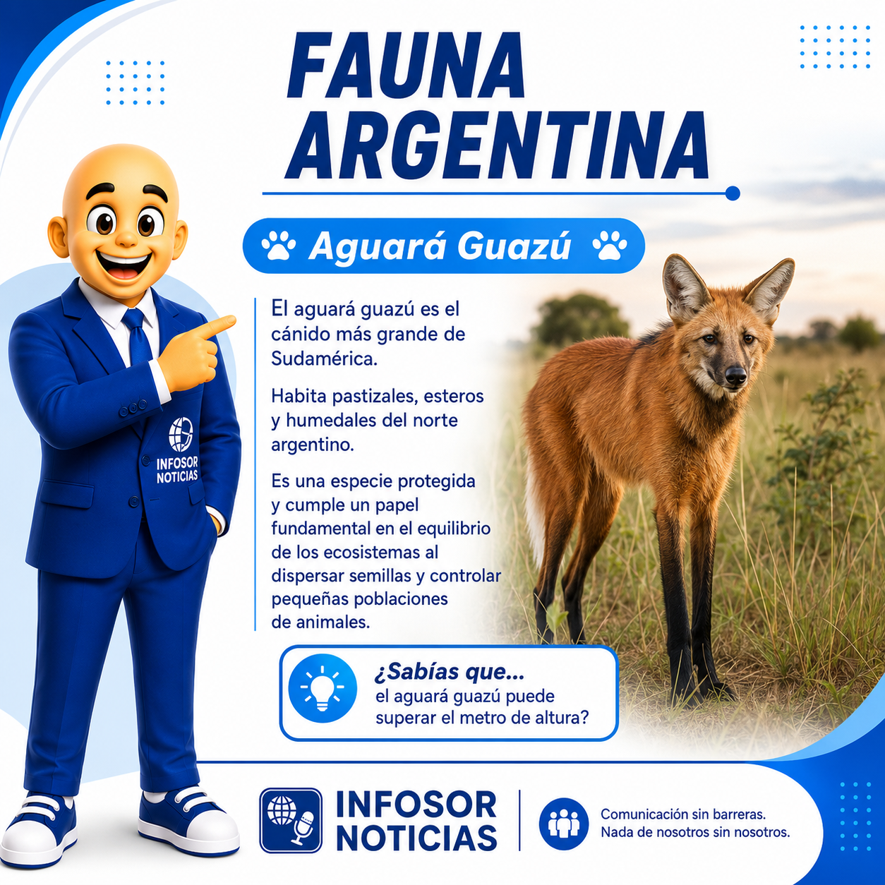Fauna Argentina: el aguará guazú, un emblema de nuestros humedales