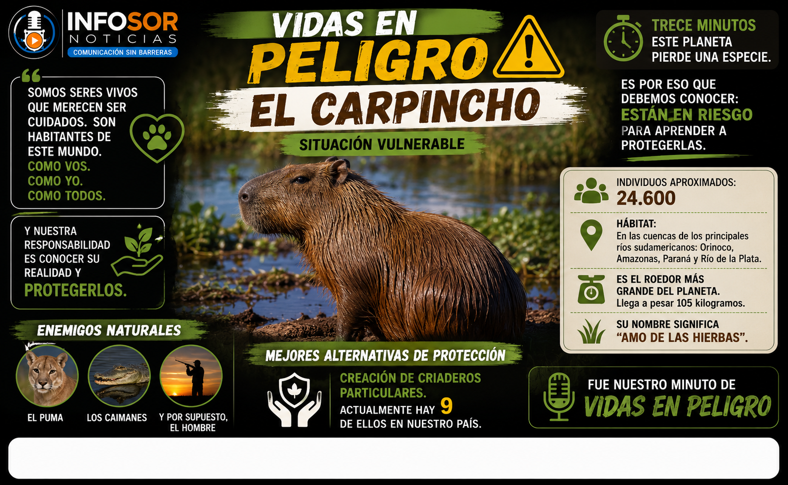 VIDAS EN PELIGRO: EL CARPINCHO, UN HABITANTE QUE TAMBIÉN MERECE SER PROTEGIDO