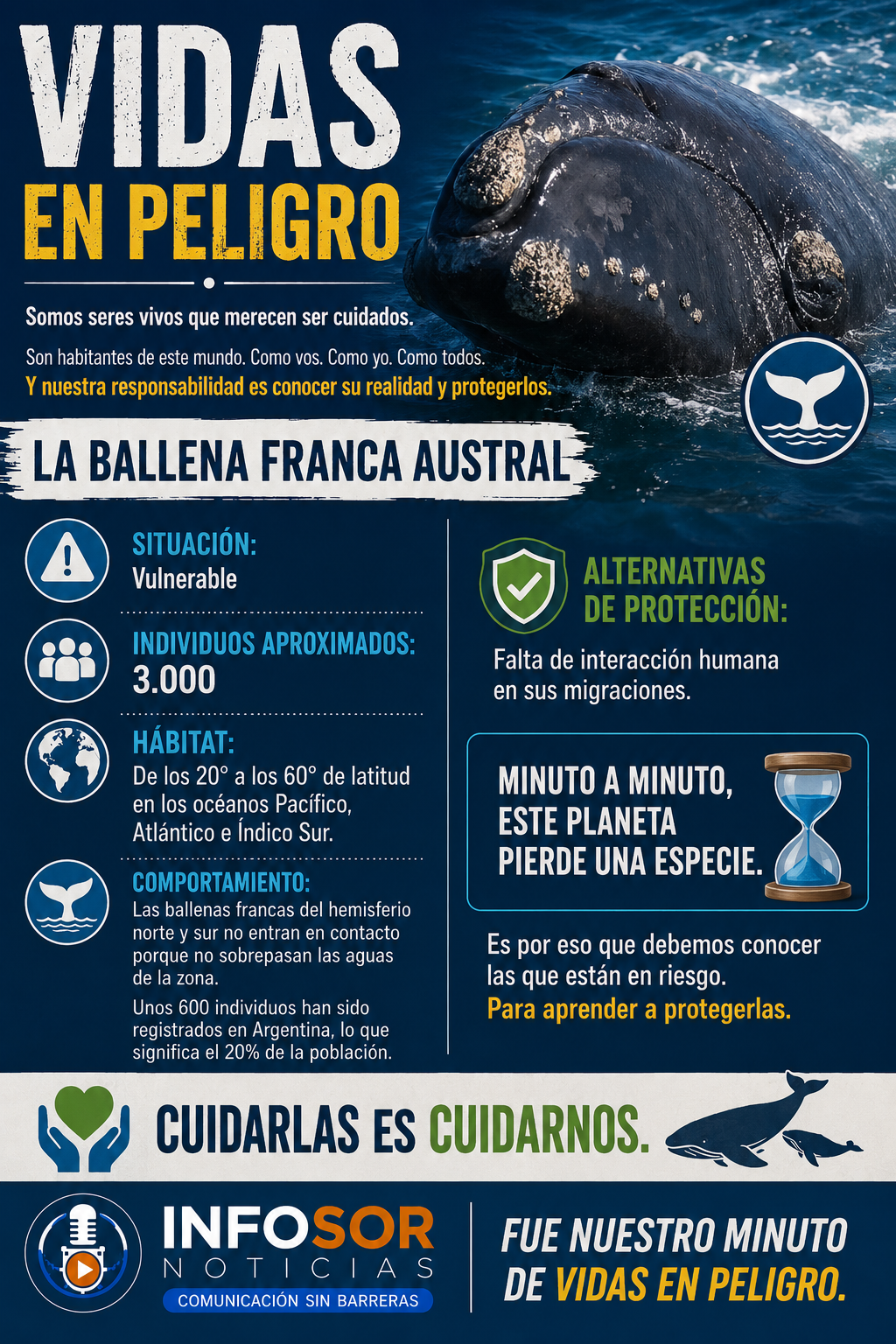 VIDAS EN PELIGRO: LA BALLENA FRANCA AUSTRAL, UNA ESPECIE QUE DEBEMOS PROTEGER