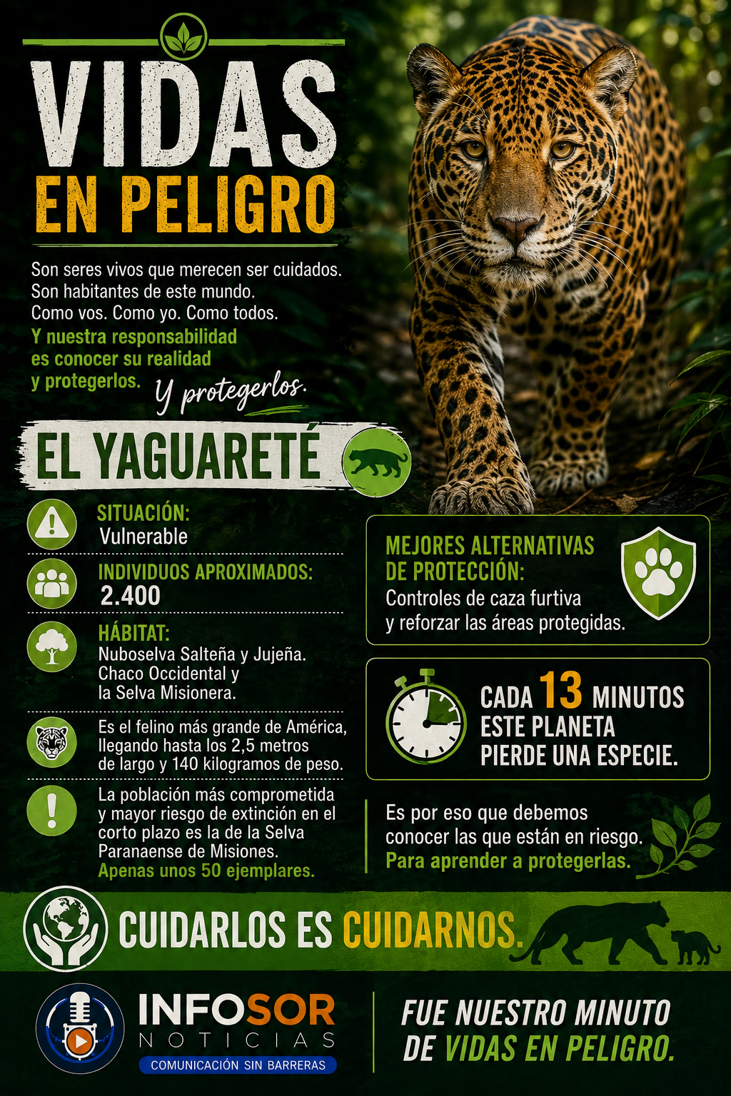 VIDAS EN PELIGRO: EL YAGUARETÉ, UN SÍMBOLO DE LA FAUNA ARGENTINA EN RIESGO