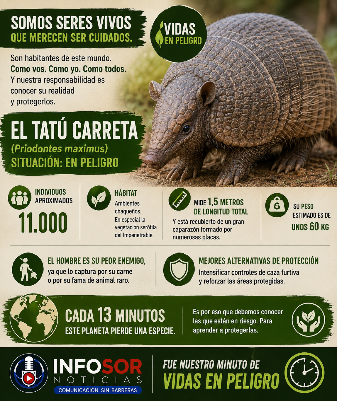 VIDAS EN PELIGRO: EL TATÚ CARRETA, UN GIGANTE DEL CHACO EN RIESGO