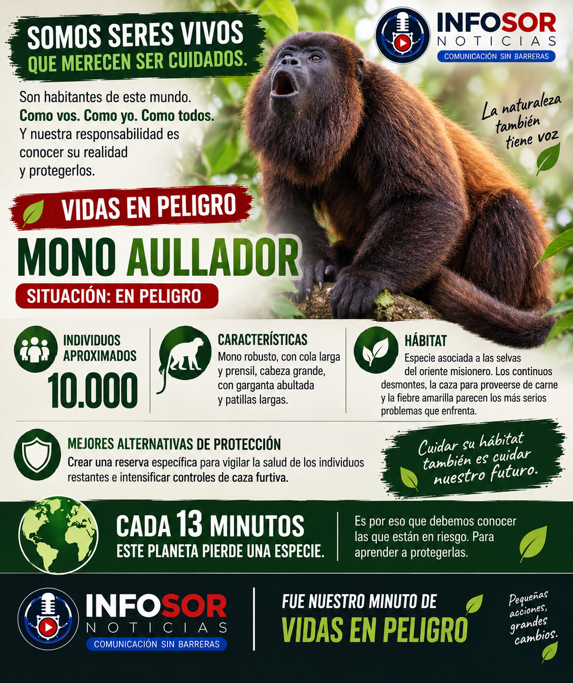 VIDAS EN PELIGRO: EL MONO AULLADOR, UNA VOZ DE LA SELVA MISIONERA