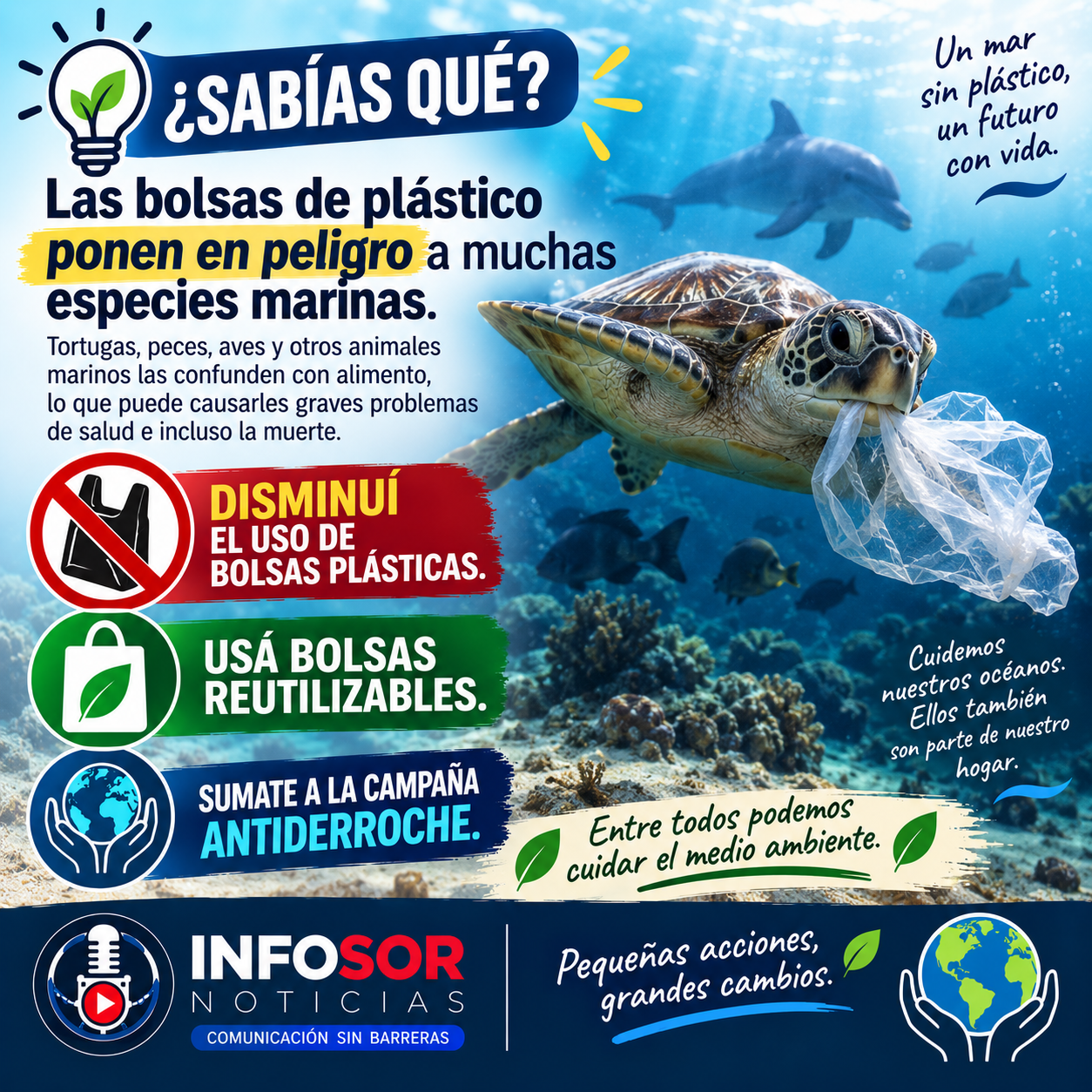 BOLSAS PLÁSTICAS: UN PELIGRO PARA LA VIDA MARINA